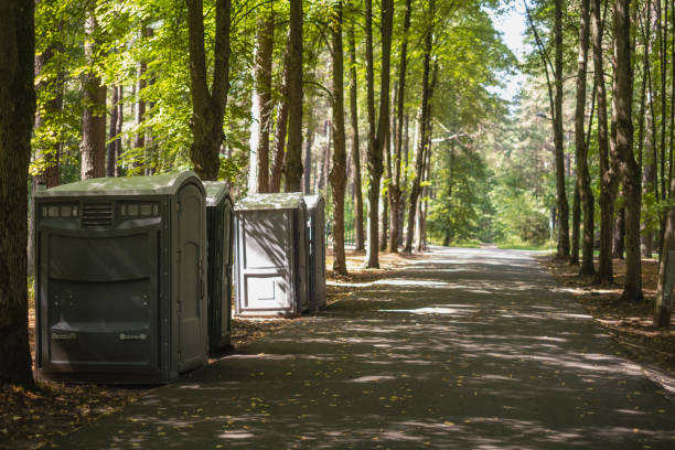 Best Affordable porta potty rental  in Alexandria, MN